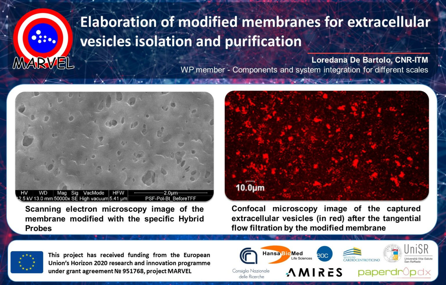 Elaboration of modified membranes for extracellular vesicles isolation