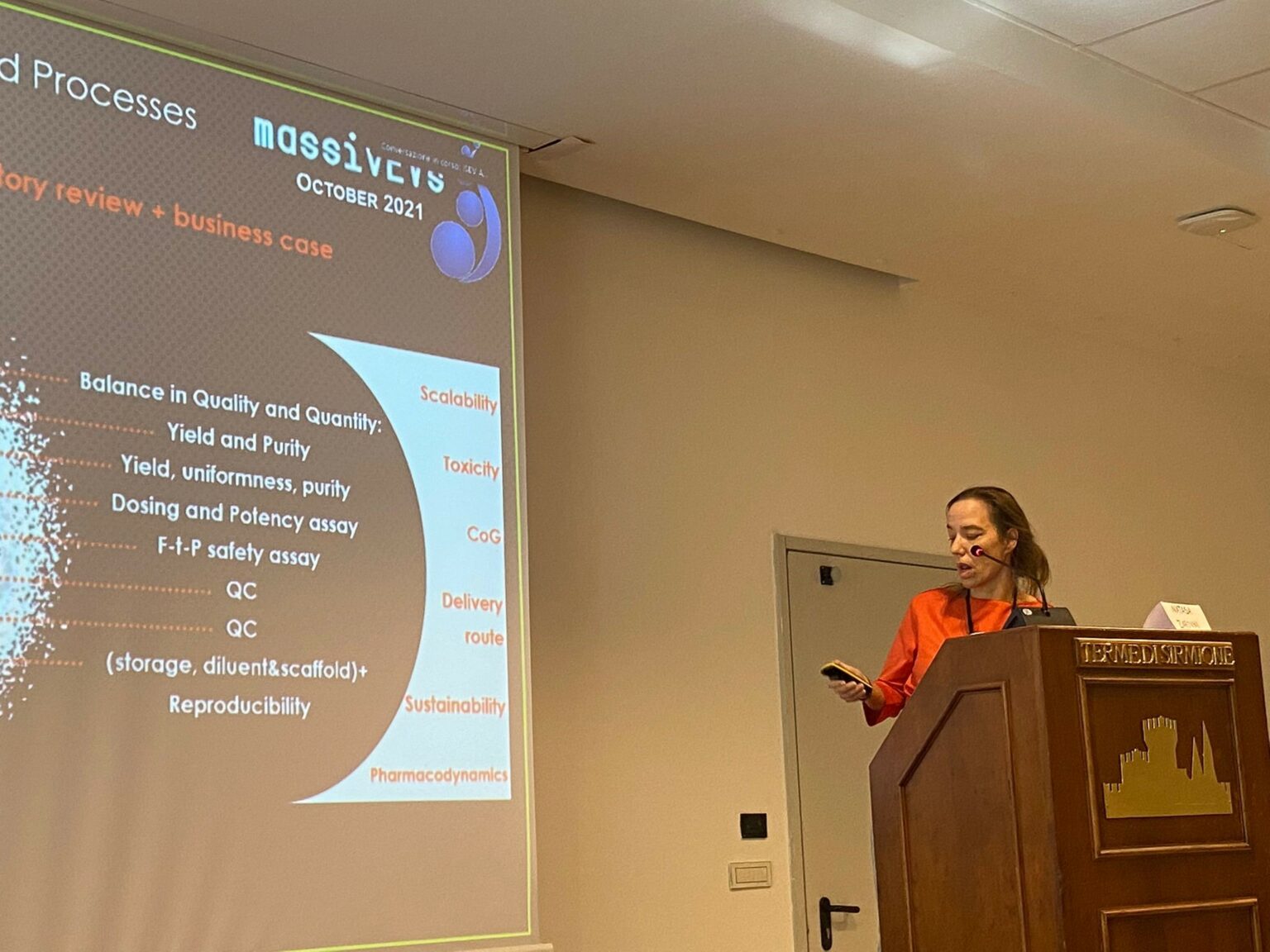 MassiveEVs Workshop - more results on large scale EV production ...